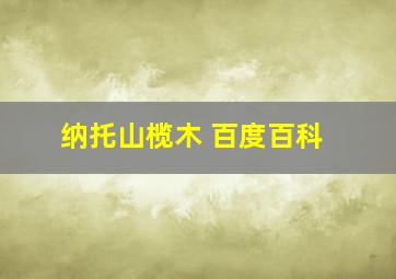 纳托山榄木 百度百科